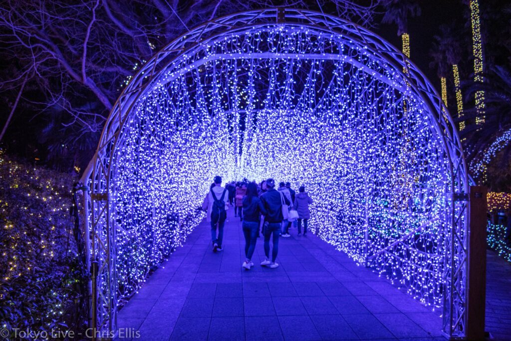 Enoshima Illumination 